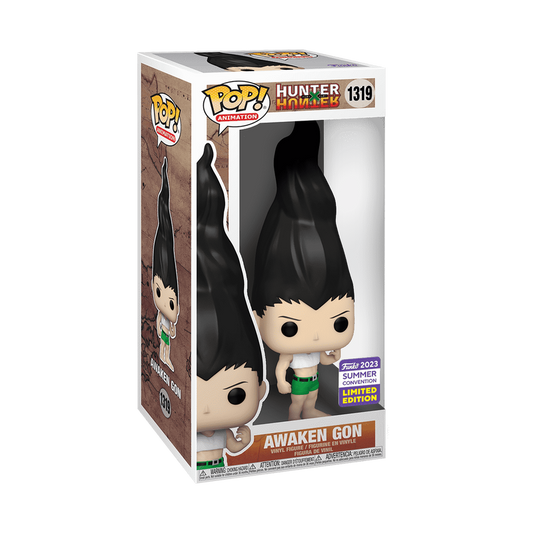 Hunter X Hunter - Awaken Gon Summer Con Shared (detalles en caja)