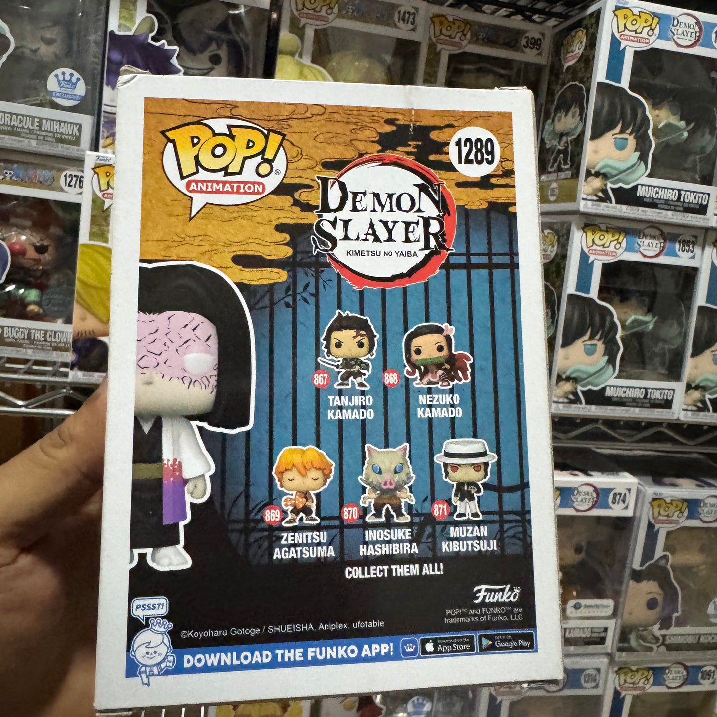 Demon Slayer - Kagaya (Detalles en caja)