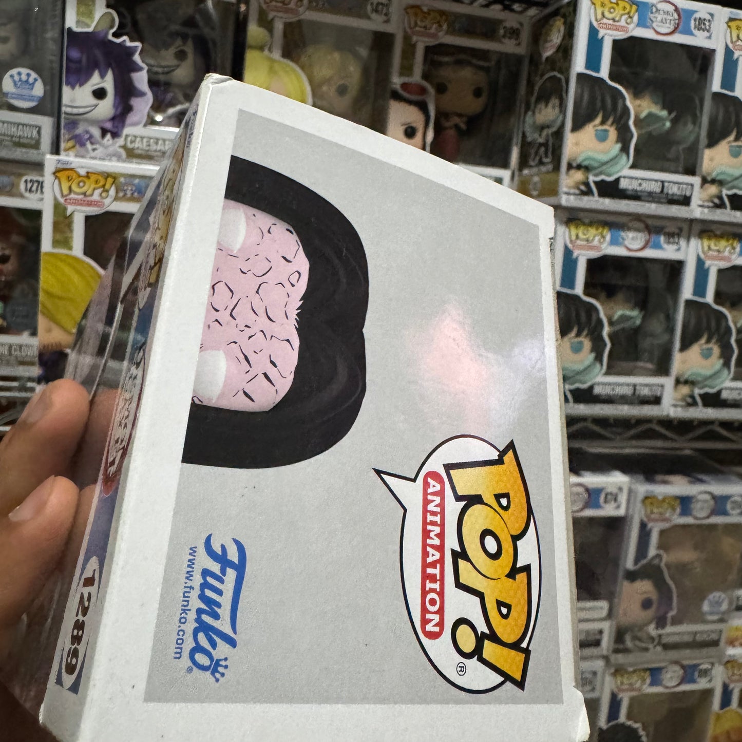 Demon Slayer - Kagaya (Detalles en caja)