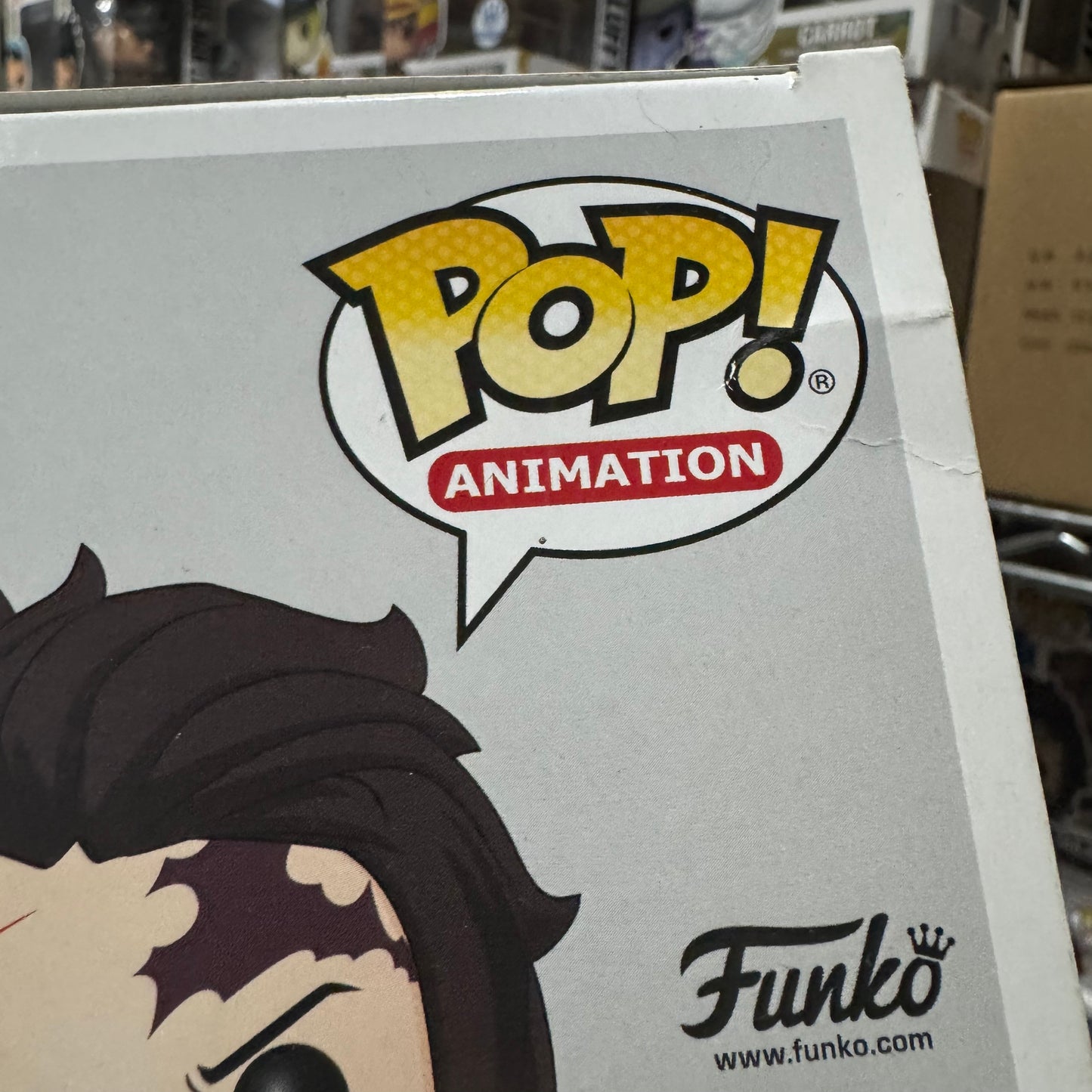 Demon Slayer - Tanjiro GT Exclusive (detalle en caja)