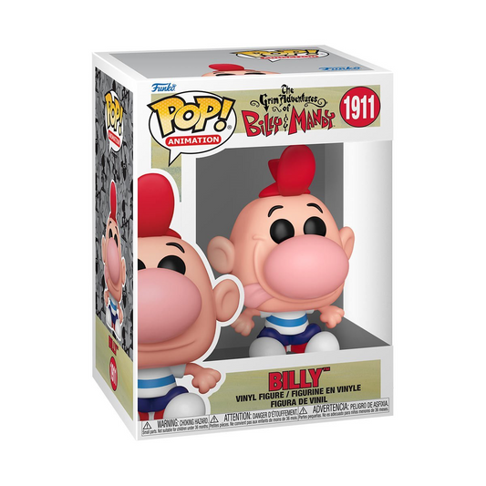 Grim Adventure of Billy & Mandy - Billy